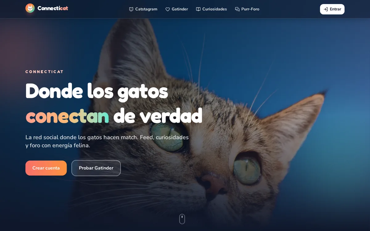 Captura de Connecticat — red social para gatos